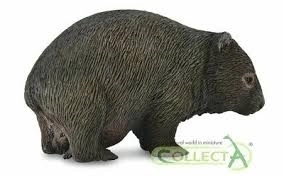 Wombat Bär Collecta