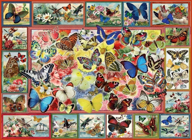 Puzzel Veel Vlinders 1000 Stukken