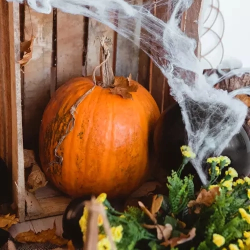 Halloween kunstmatige spinnenweb met spinnen