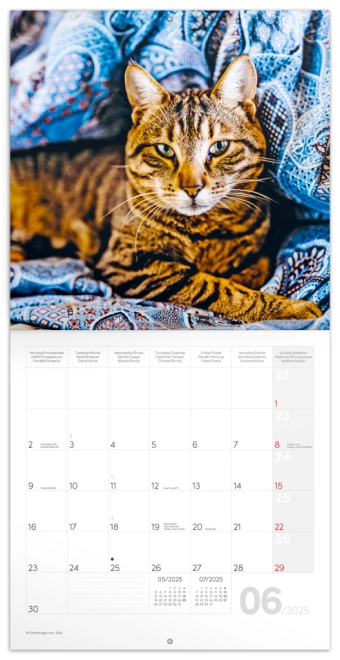 Clear notes calendar grid
