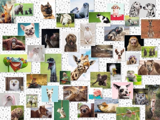Puzzel Vrolijke Dieren 1500 stukjes Ravensburger