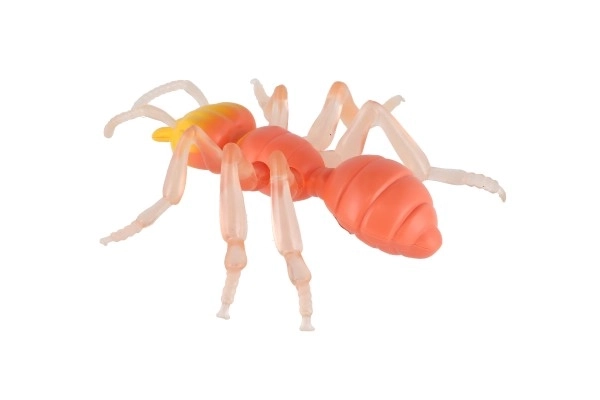 Anti-stress Ant