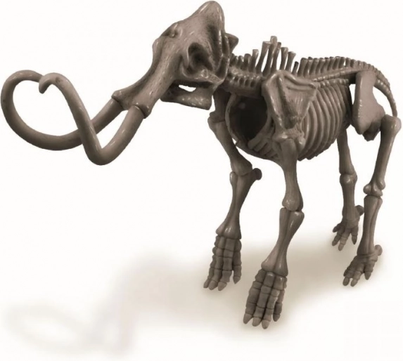 Buildable mammoth skeleton model