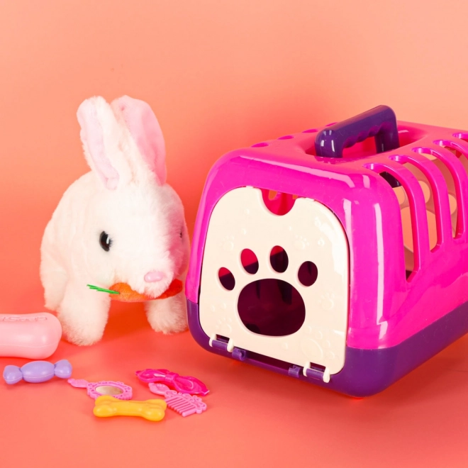 Lapin Interactif avec Carotte
