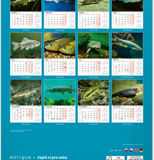 Muurkalender Vissen 2026