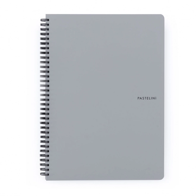 Ringbuch A4 Pastelini grau