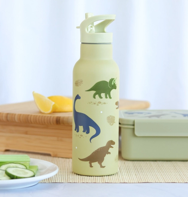 A Little Lovely Company Stainless steel drinking bottle 500 ml – Dinosaurs