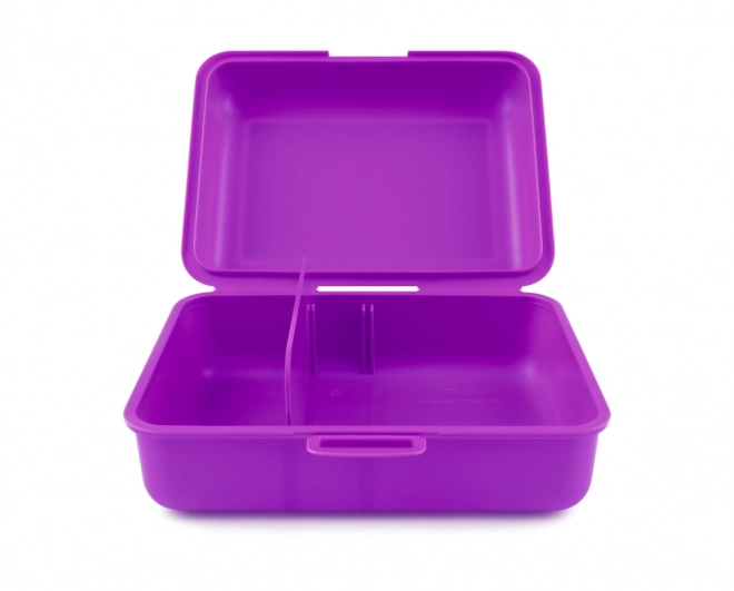 Axolotl Lunch Box