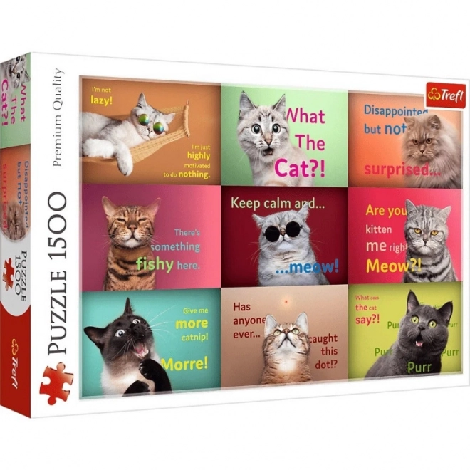 Puzzle 1500 Fun Cat Portraits