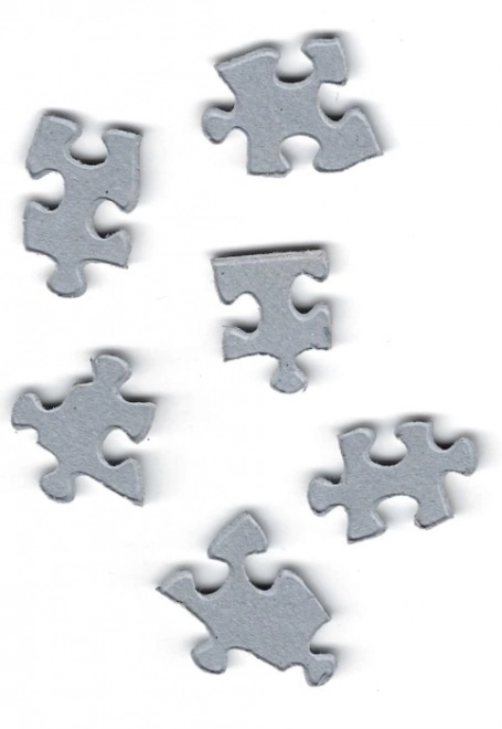 Eurographics Puzzel Liefde Jaren 60 1000 stukjes