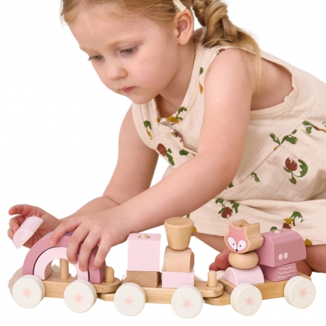 Viga Puzzle Train Set with Blocks