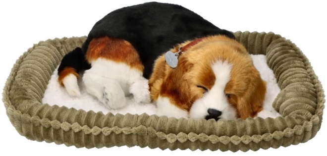 Ademend Puppy Beagle Perfect Petzzz
