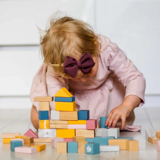 Wooden Block Set 60 Pieces