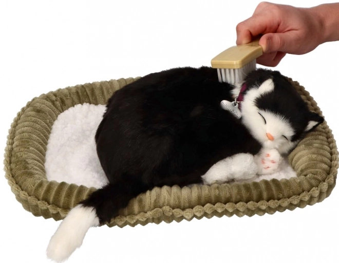 Interactief Speelgoed Perfect Petzzz Zwart-Witte Kat