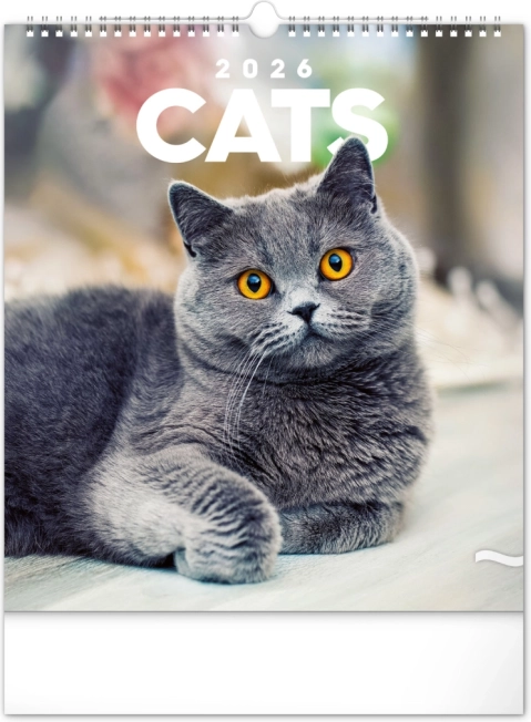 Wandkalender Katten 2026