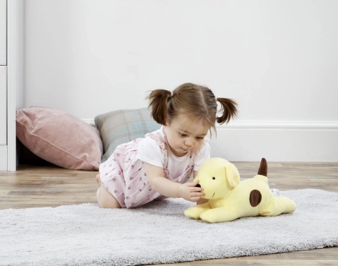 Safe for Young Children