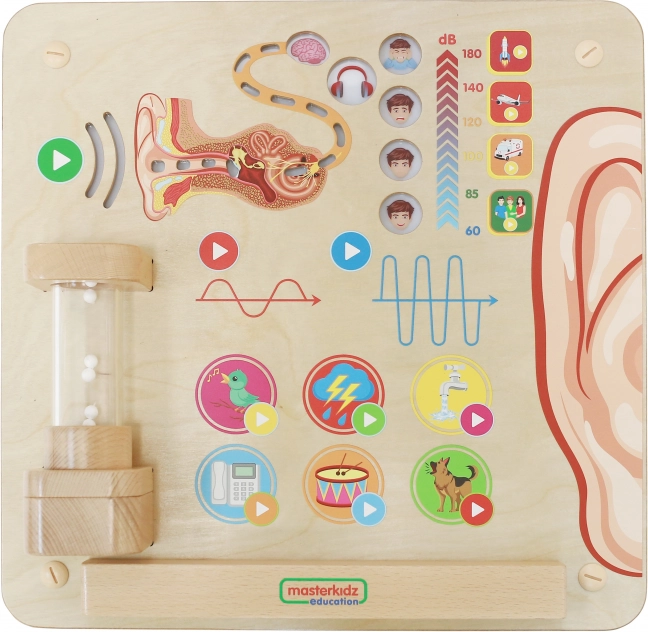 Tableau Éducatif Masterkidz Sens Visuels Montessori
