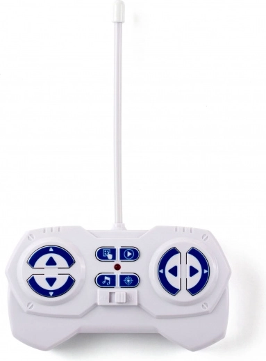 Remote control for precise handling