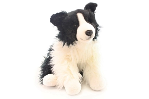 Pluchen Border Collie 35 cm