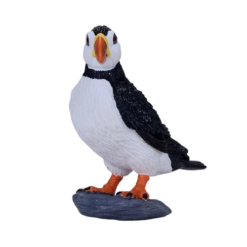 Mijn Papegaaiduiker