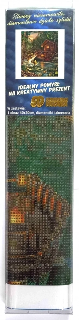 Diamantschilderen vissershut