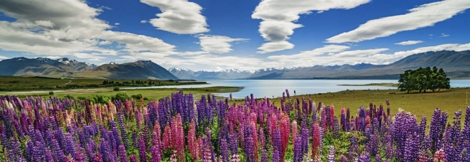 Puzzel 1000 stukjes Lake Tekapo