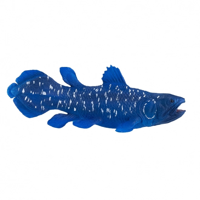 Mojo Coelacant