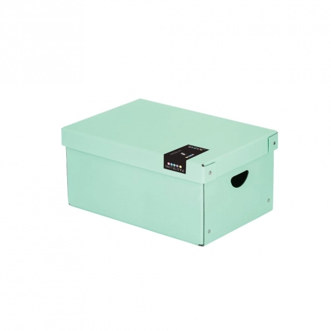 Große Laminobox PASTELINI grün