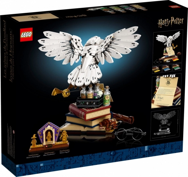 LEGO® Harry Potter 76391 Zwijnsteinicoontjes - Collectors editie