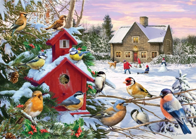 Puzzle Ailes d’hiver 1000 pièces