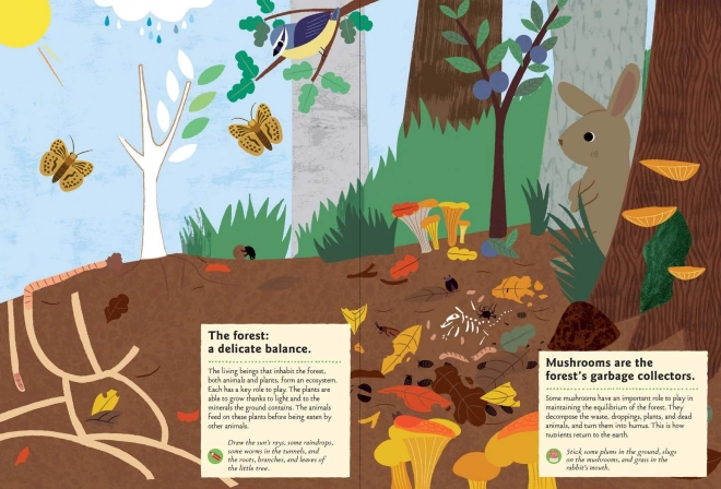 Chronicle Books Activiteitenboek met stickers mijn natuur In het bos