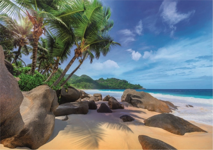 Prachtig motief van een exotisch strand