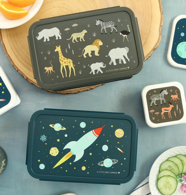 A Little Lovely Company Lunchbox