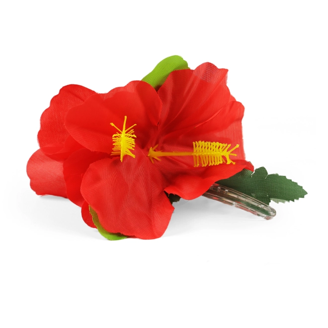 Tropisches Flair