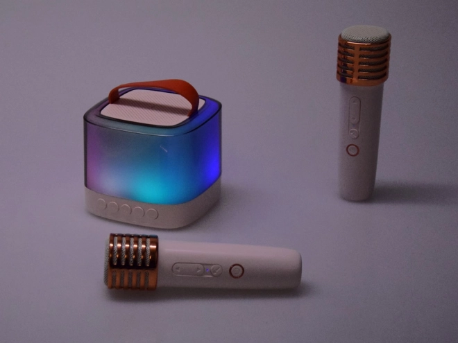 Microfoon met draadloze luidspreker en Bluetooth
