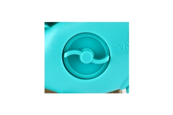 Plastic Chameleon for Stretching into Water for Children