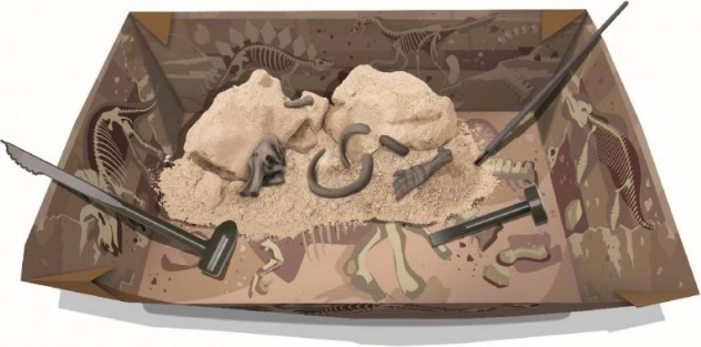 Dig and discover: plaster block with fossils