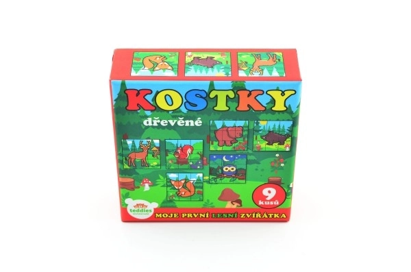 Blokken Kubus Mijn Eerste Dieren Hout