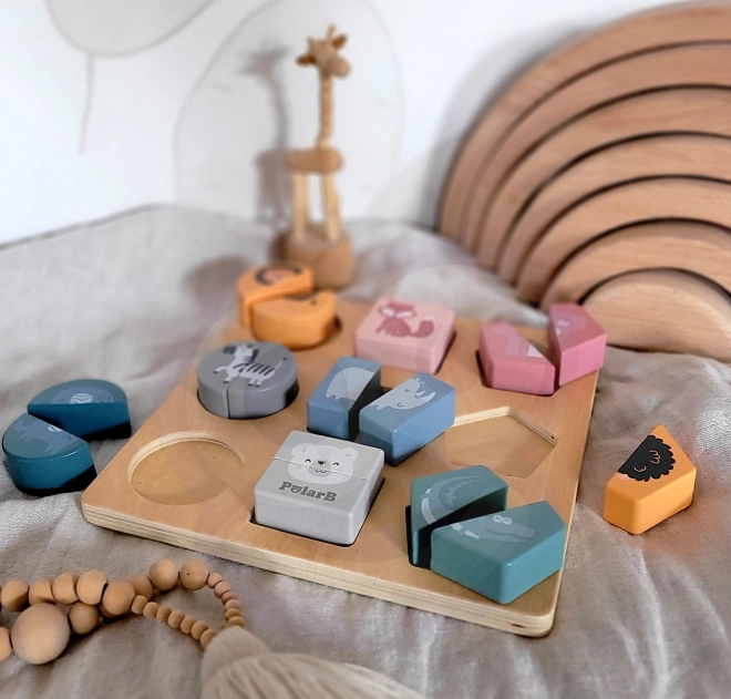 Shape Puzzle PolarB