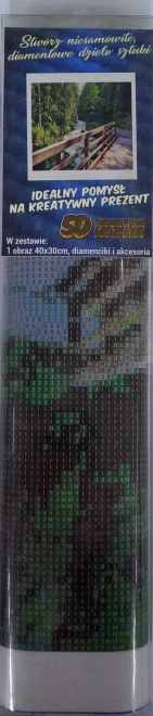 Norimpex diamant schilderen houten brug in het bos 30x40cm