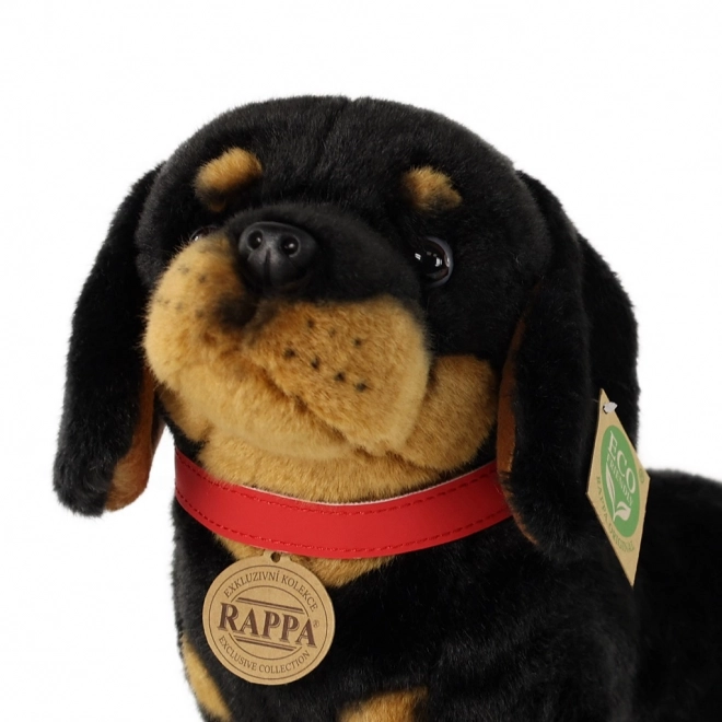 Rappa Pluchen hond teckel 30 cm ECO-VRIENDELIJK