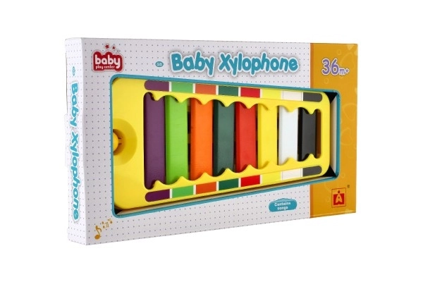 Xylofoon plastic/metaal 24cm met stokje in doos 29x16x3cm