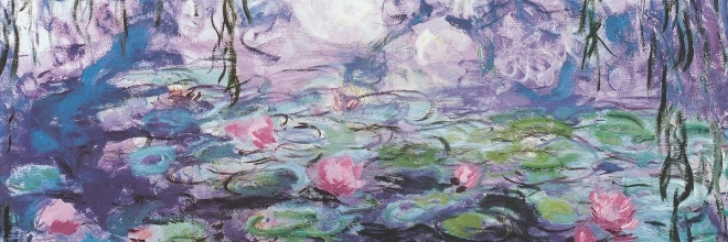 EUROGRAPHICS panoramische puzzel waterlelies 1000 stukjes