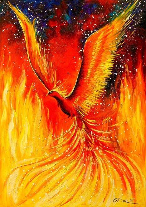 Fenix 1000 Piece Puzzle