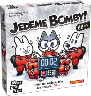 Cooperative Game We Are Bombing