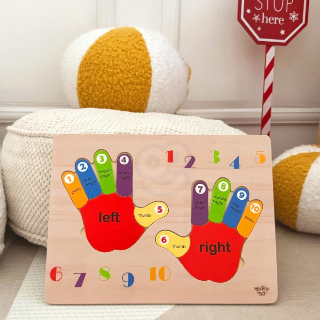 Educational Wooden Puzzle Hands Counting and Colors