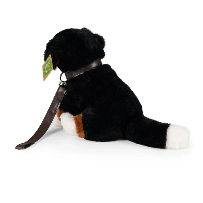 Pluchen Berner Sennenhond zittend met riem en geluid 20 cm MILIEUVRIENDELIJK