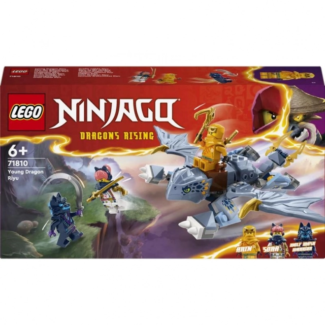 Bausteinset LEGO Ninjago Drache Riyu
