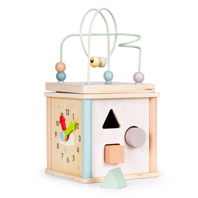 Houten educatieve blokken Ecotoys