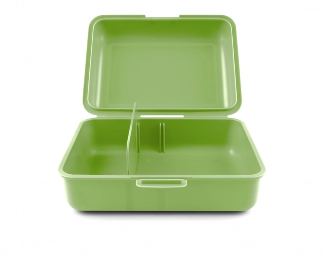 Lunchbox met T-Rex motief